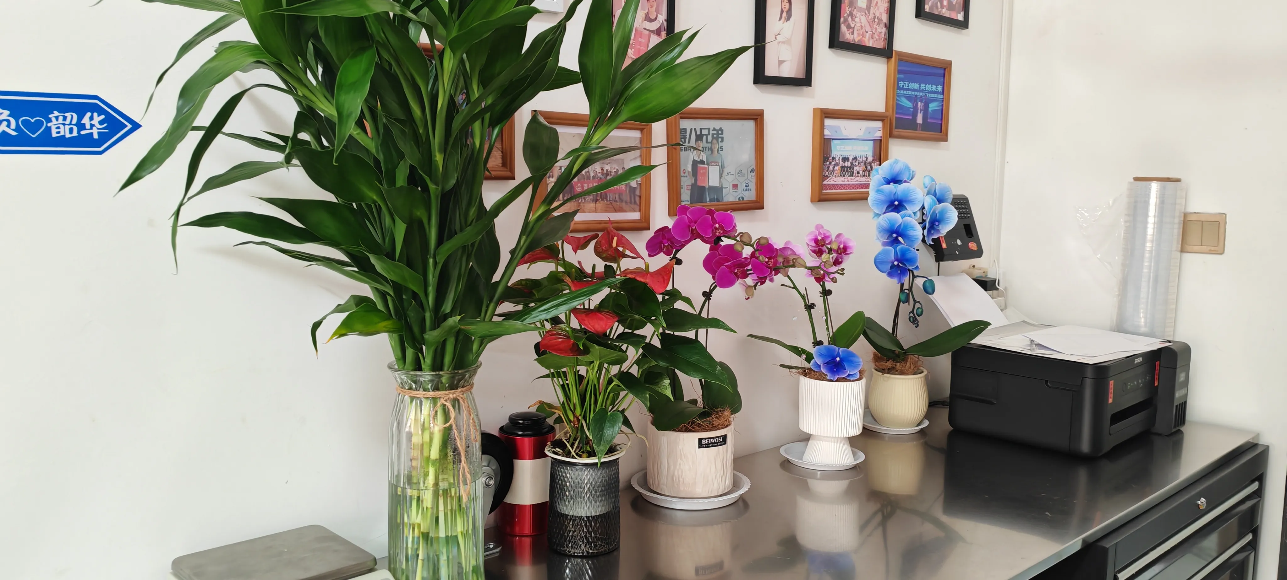 Powitaj nowych przyjaciół JOJO Pack!