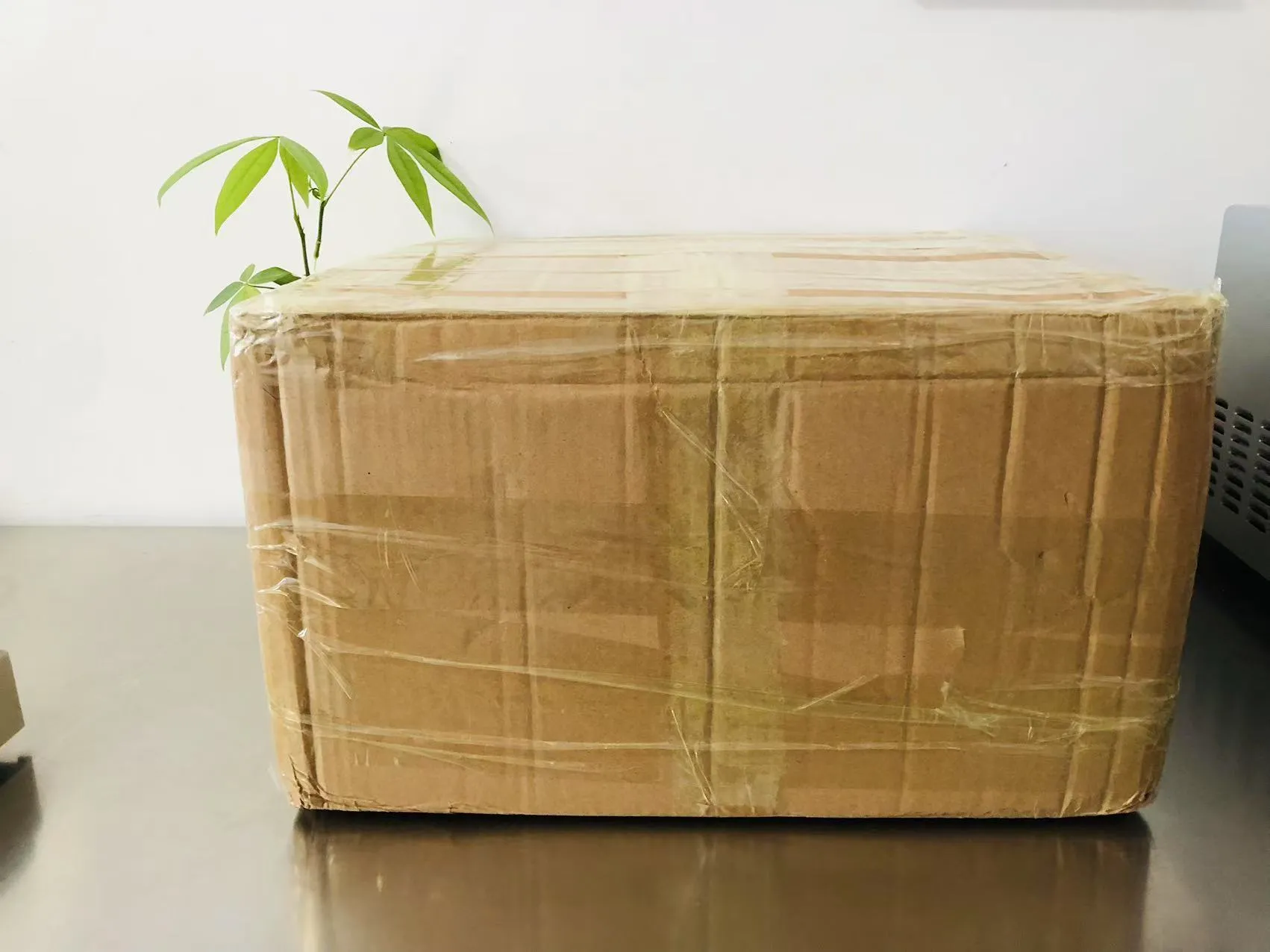 Naklejki epoksydowe z kreskówek są teraz w drodze do Japonii